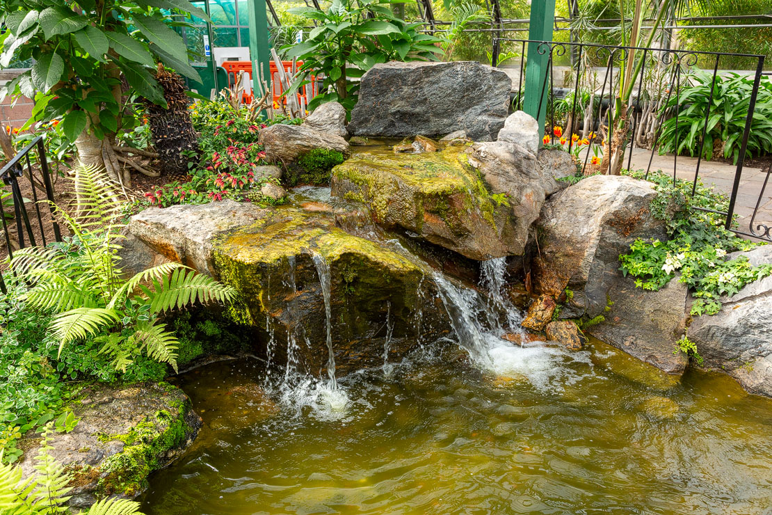 Rocky waterfall feature with moss-covered stones and cascading water surrounded by ferns and tropical plants
