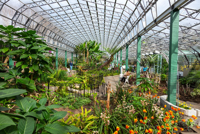 David Welch Winter Gardens, Aberdeen – A Tropical Oasis in the Granite City