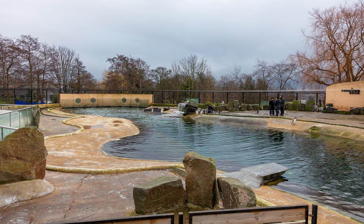 Wide view of the Penguins Rock pool at Edinburgh Zoo showing the expansive water area and rocky shoreline