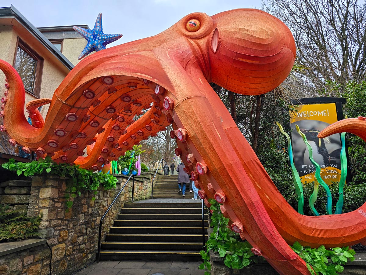 A giant orange octopus sculpture archway over the entrance steps at Edinburgh Zoo as part of the Giant Lanterns trail