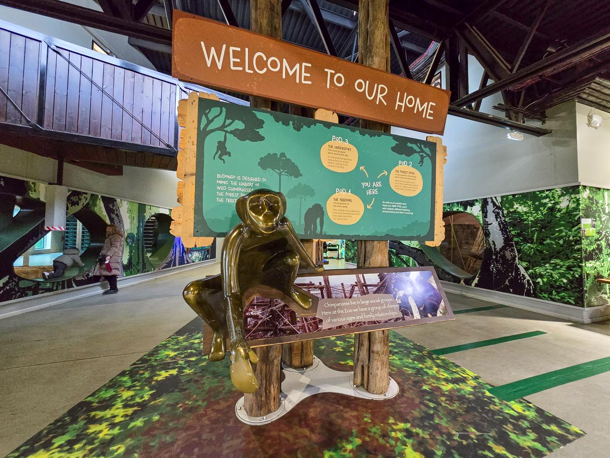 The Welcome to Our Home sign with a bronze chimpanzee sculpture inside the Budongo Trail at Edinburgh Zoo