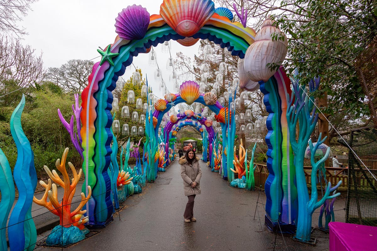 A woman standing beneath colourful ocean-themed lantern arches with shell decorations and jellyfish lights at Edinburgh Zoo