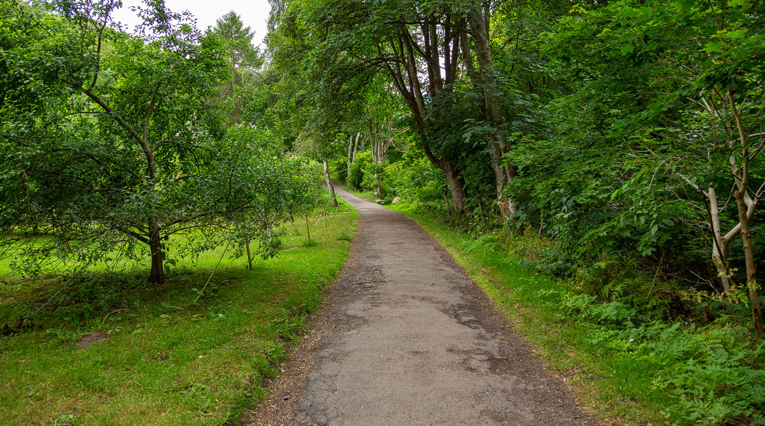 Short path to the start of the glen walk.