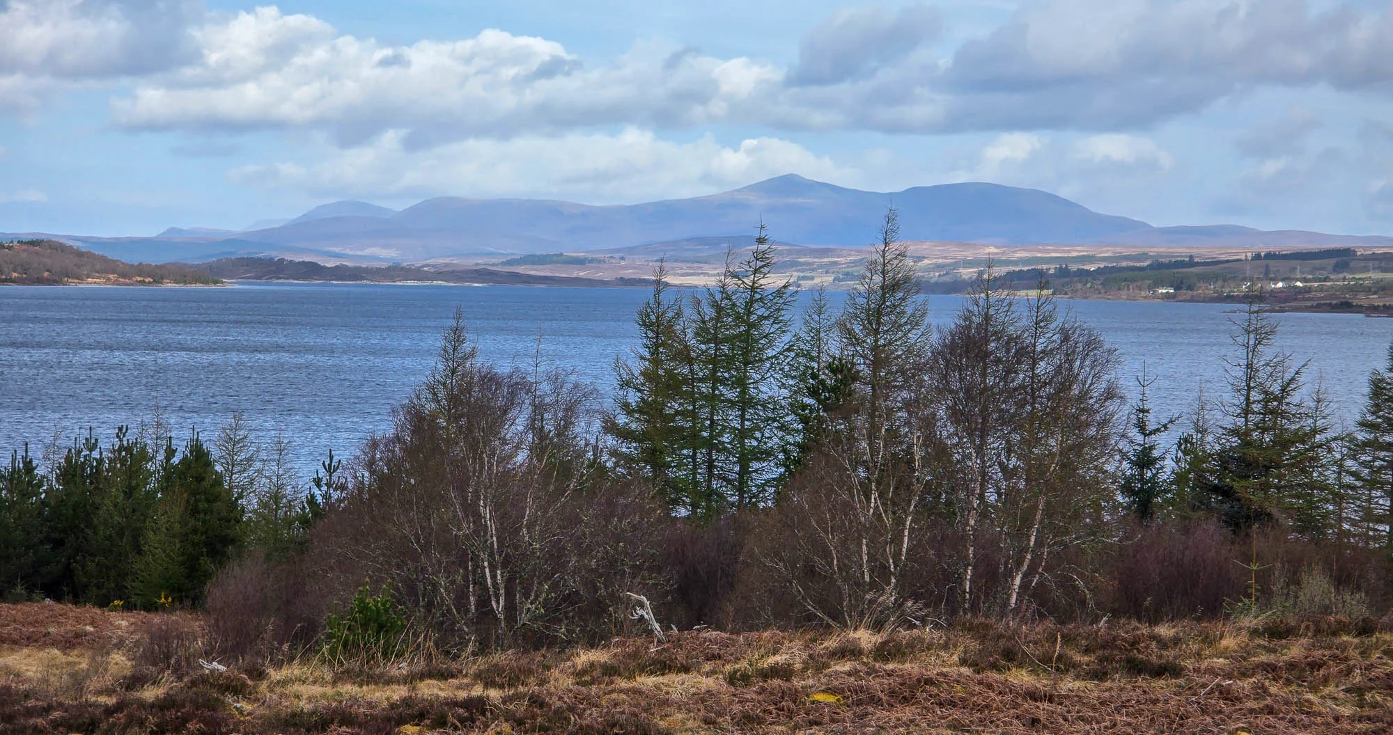 Ferry Wood and Dùn Coille Broch, Lairg – A Woodland Walk Through Iron Age History