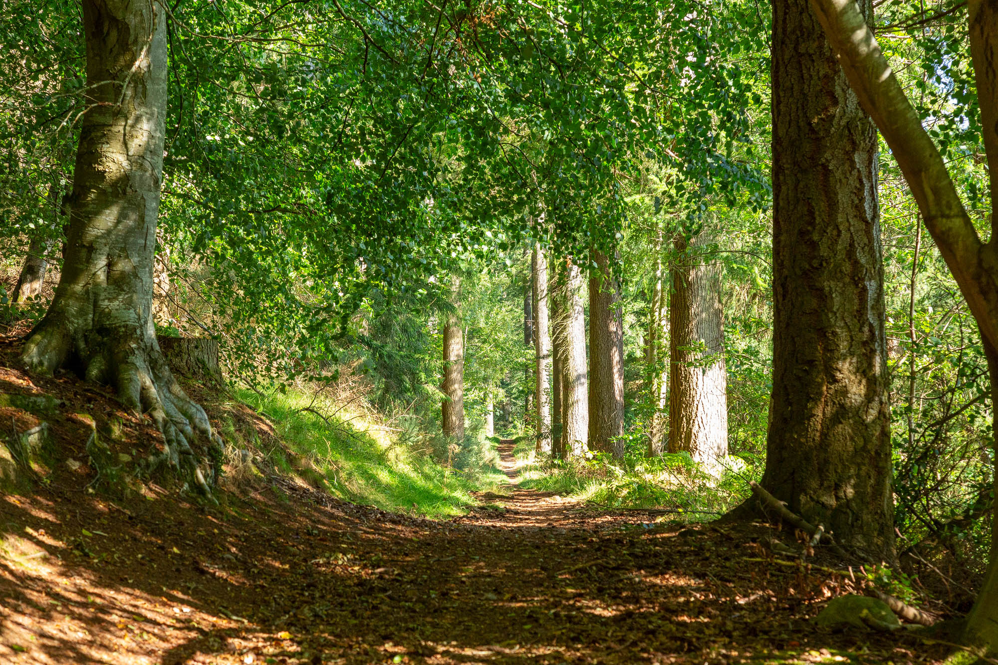 Free things to do in Moray