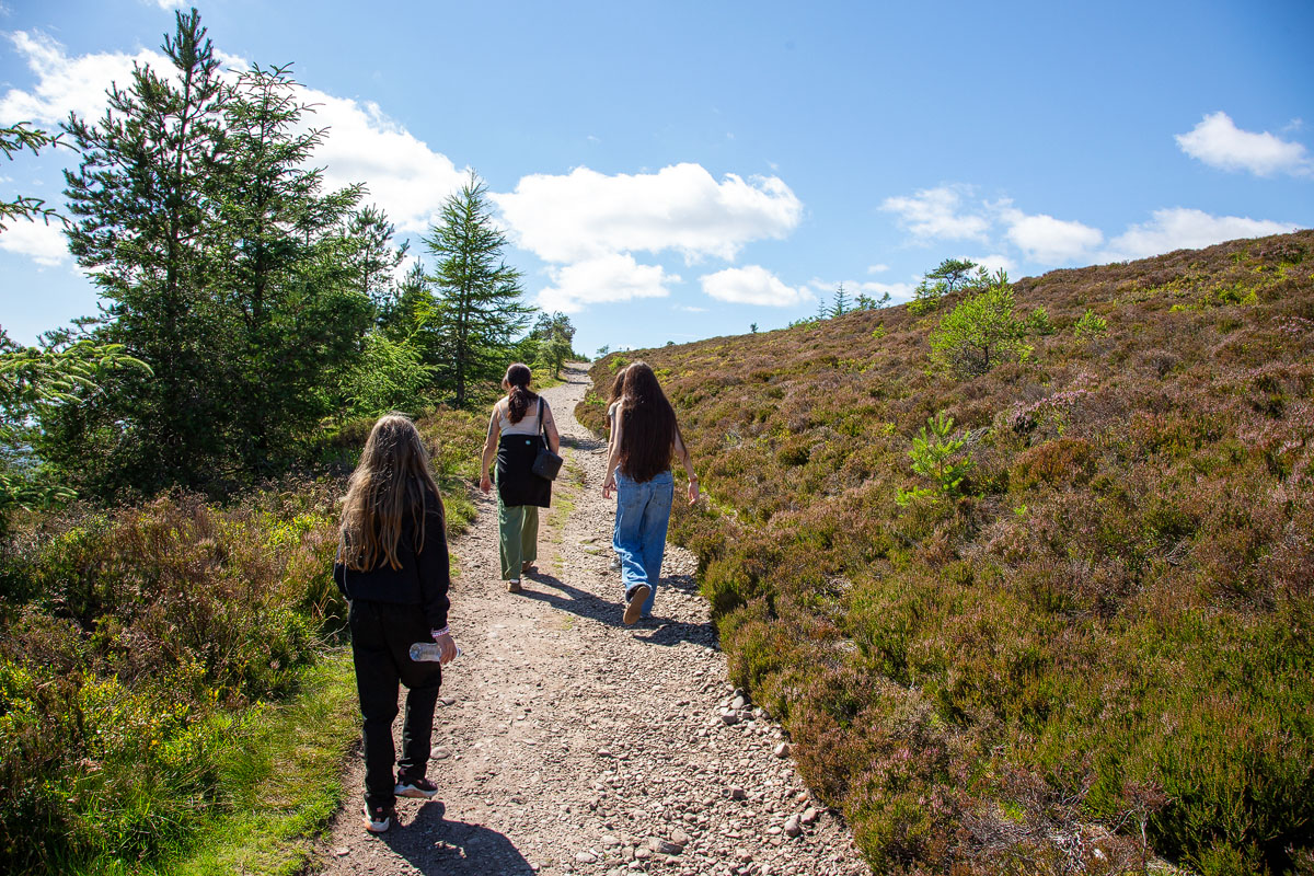 The family walking the final open heather-lined path towards the summit under a big blue sky