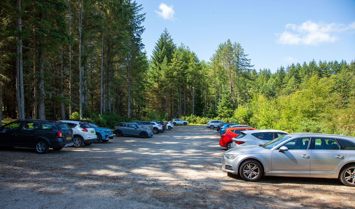 The free forestry car park at the start of the Fyrish Monument walk, cars parked among tall conifers under blue sky