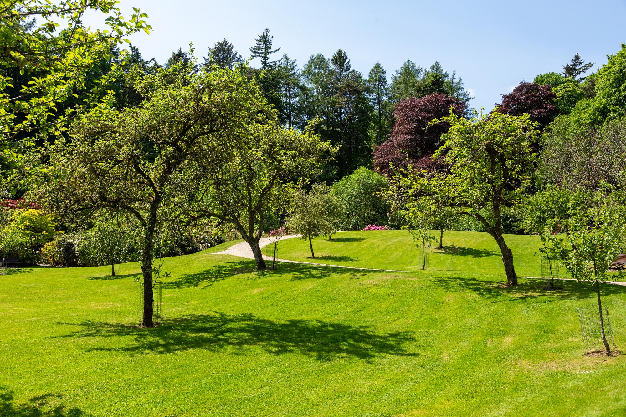 Glen Grant Distillery Gardens and Visitor Centre