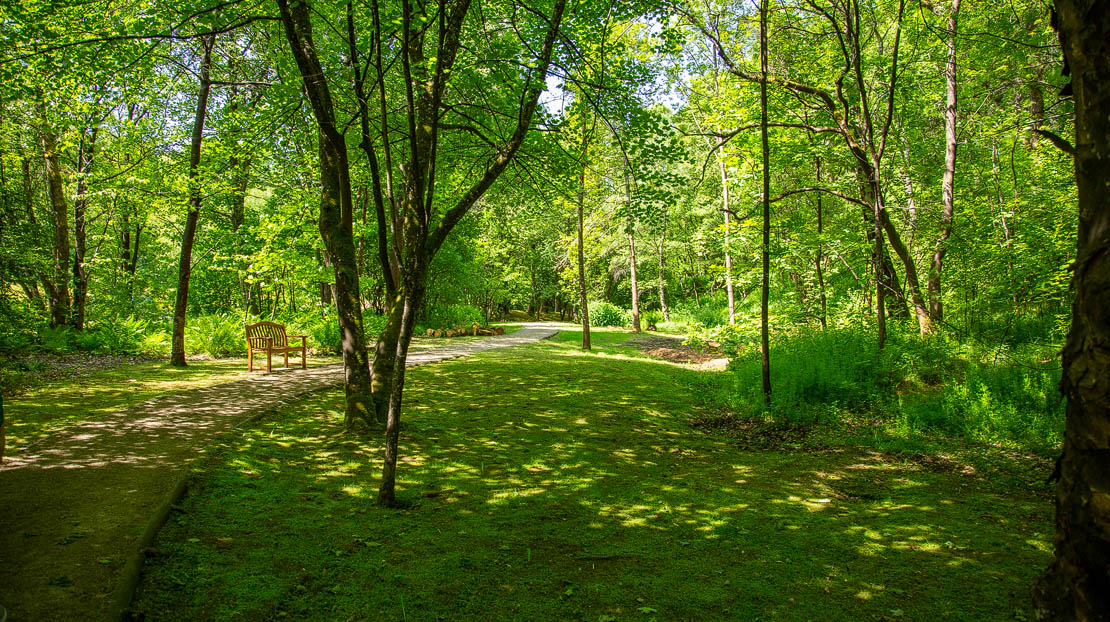 Walking to the gardens.
