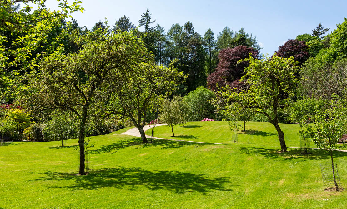 Apple and cherry orchards