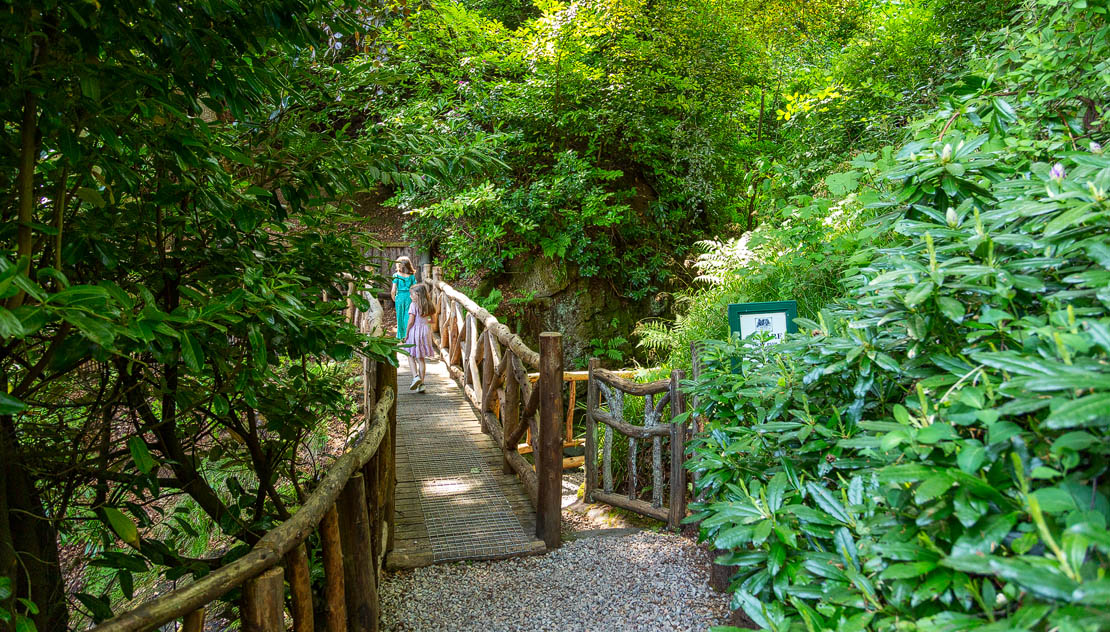 Bridge over the Back Burn.