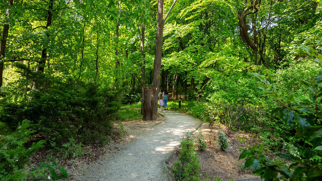 The path to Glen Grant Visitor Centre.