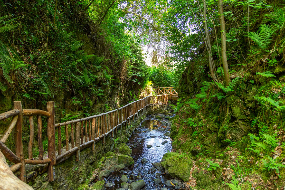 Wooden walkways.
