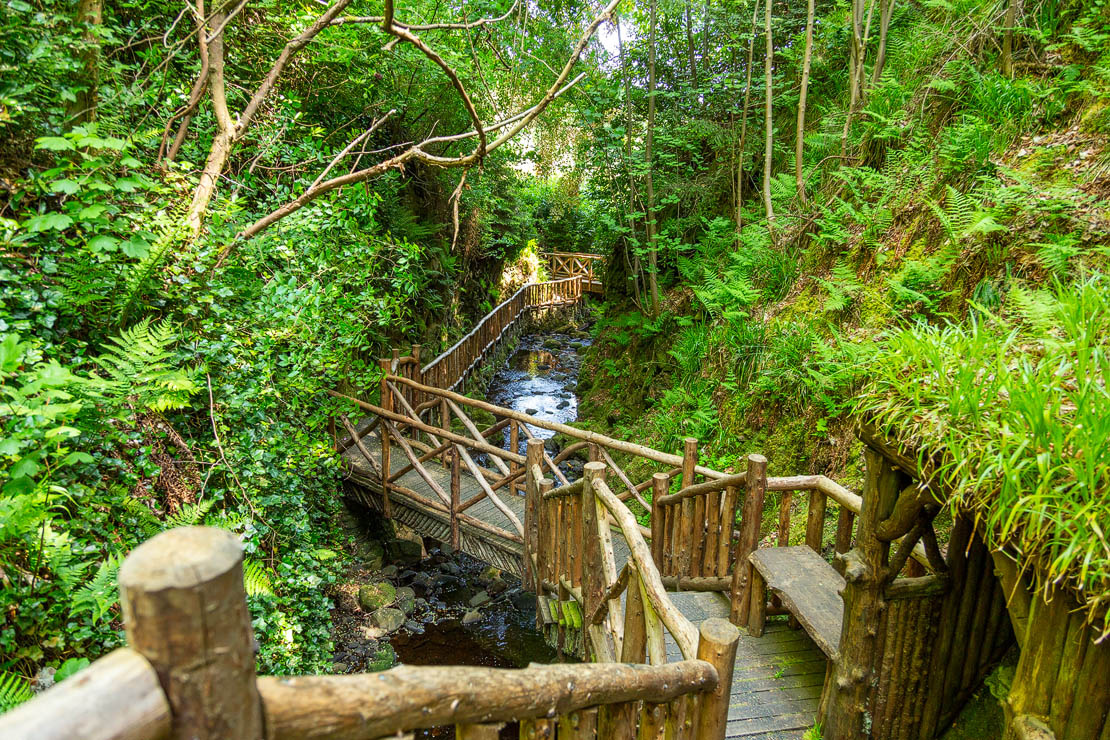 Overview of the gorge walkways.