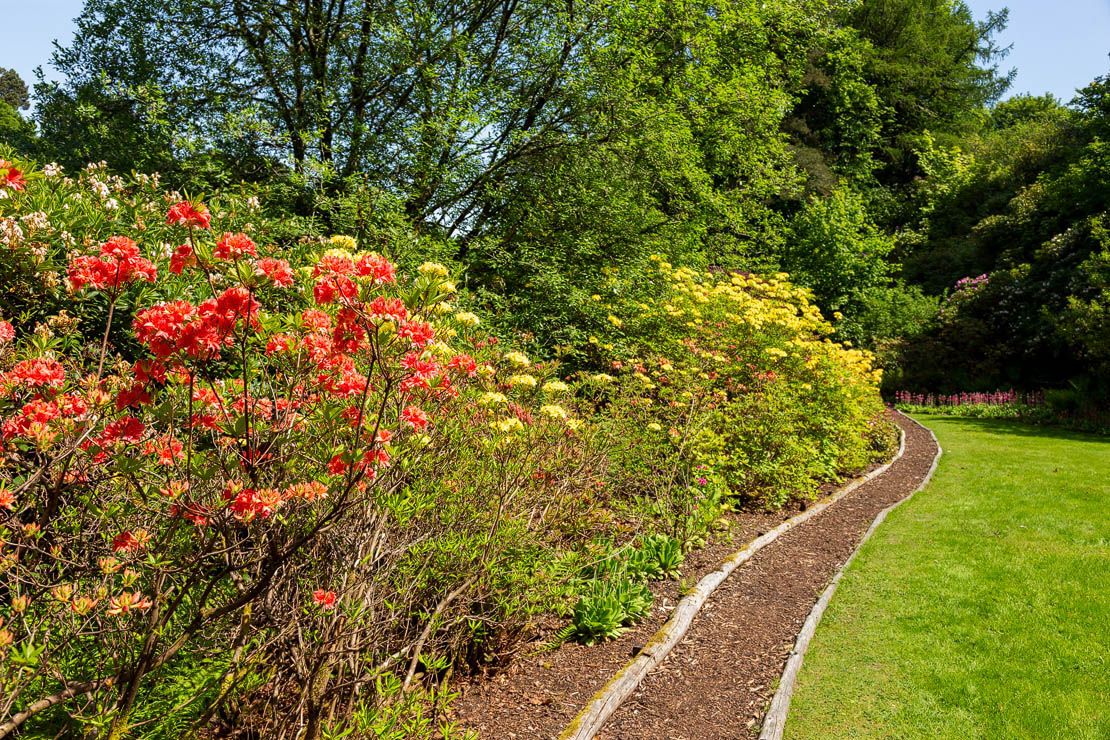 A hidden corner of Glen Grant Gardens.