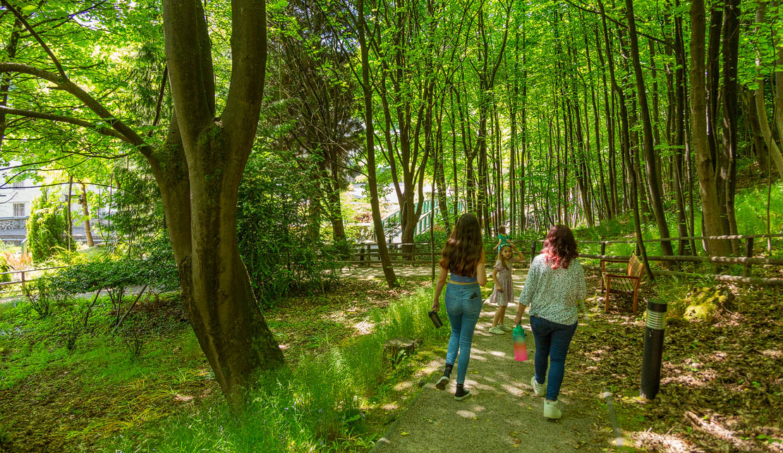 Walking to the visitor centre.