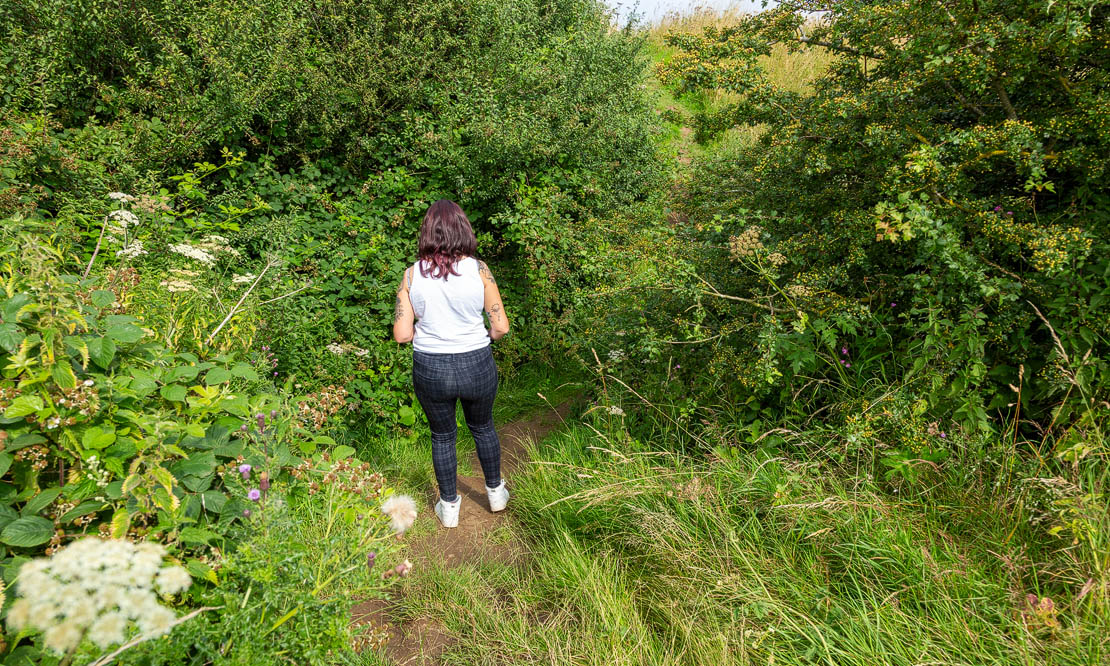 Castle ditch and grassy rubble mounds.