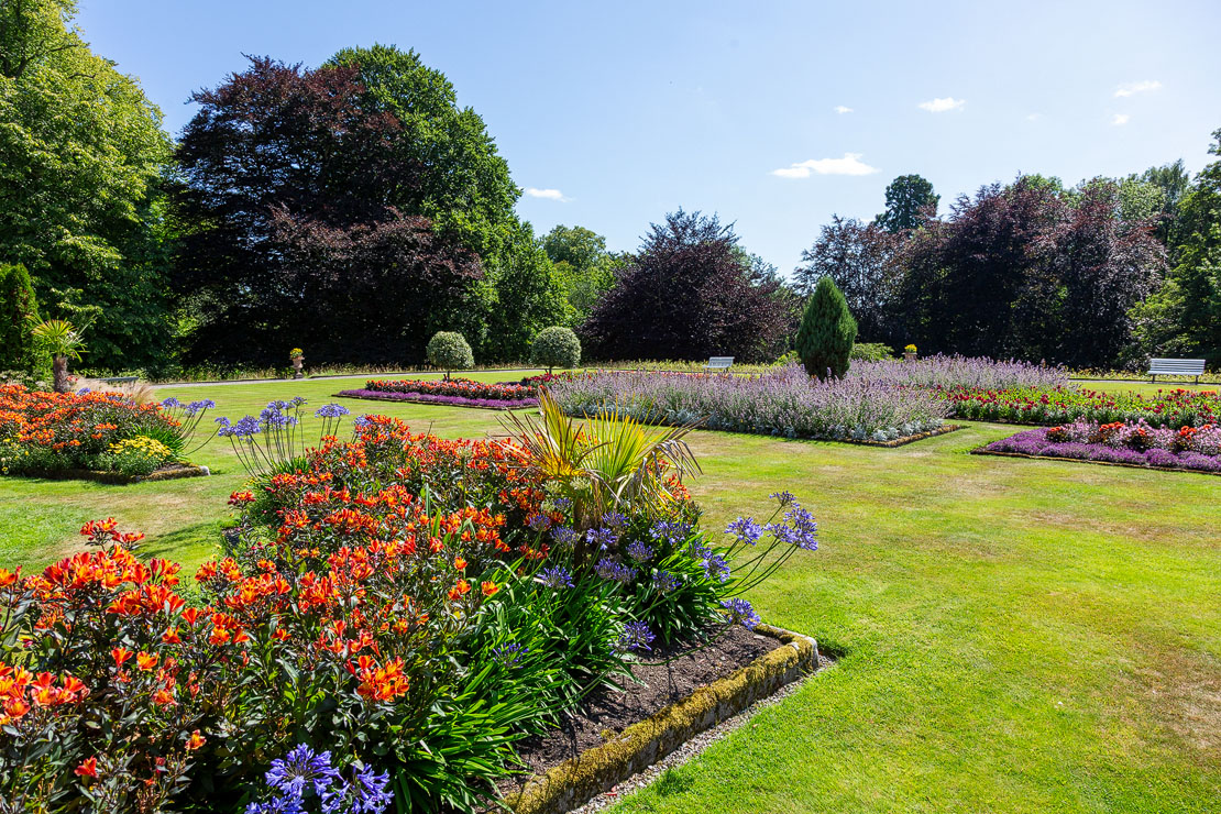 Vibrant orange lilies and blue agapanthus in the Haddo House terrace gardens