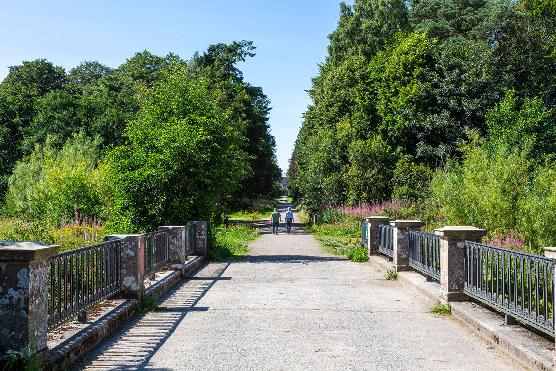 Walkers on the bridge along the Scots Mile avenue at Haddo Country Park