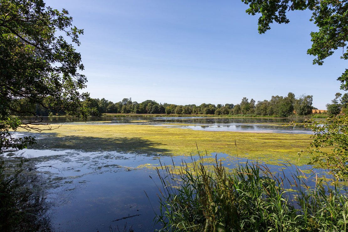 The Upper Lake at Haddo Country Park surrounded by mature woodland