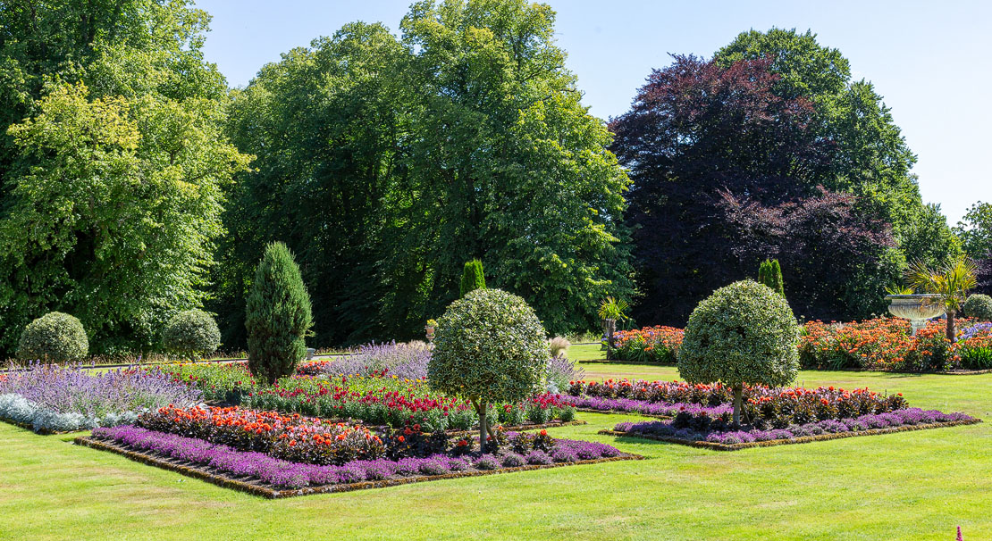 Geometric flower beds in the formal gardens with topiary and lavender borders