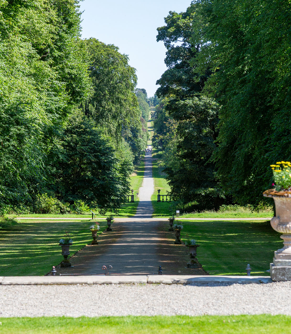 The Scots Mile tree-lined avenue stretching into the distance from Haddo House