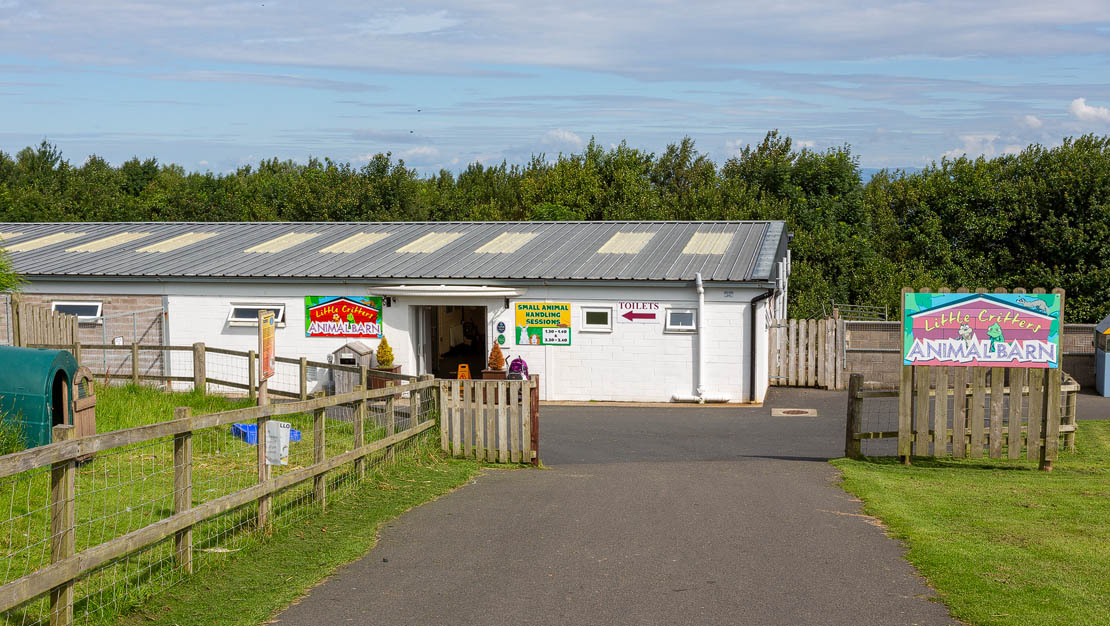 The path to the animal barn.
