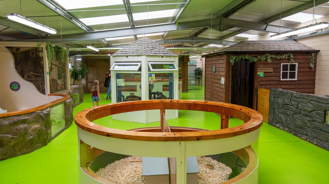 Interior of the little critters animal barn.