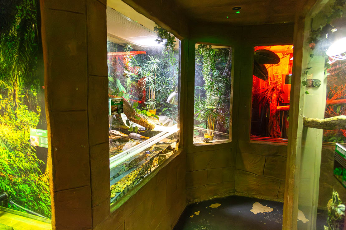 Aztec Reptile Zone