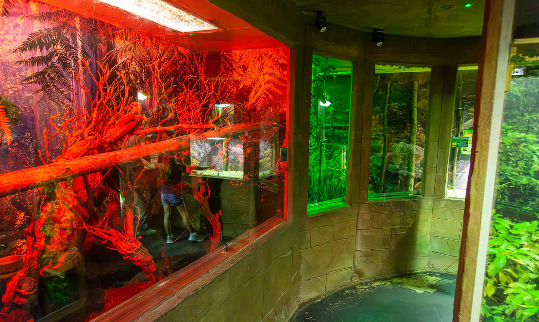 Aztec Reptile Zone