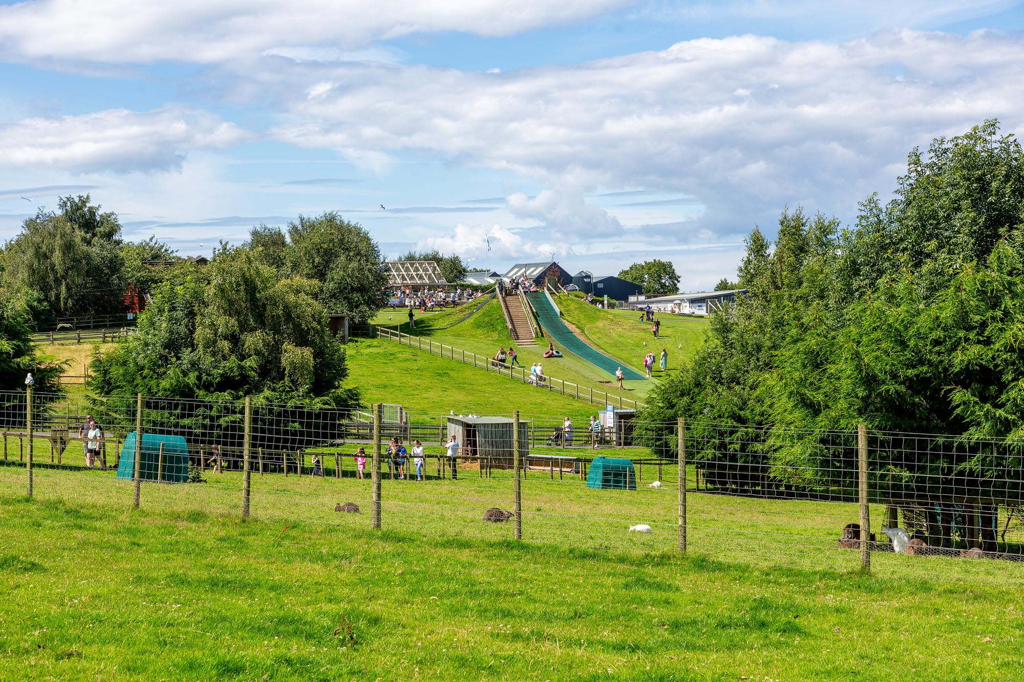 Heads of Ayr Farm Park