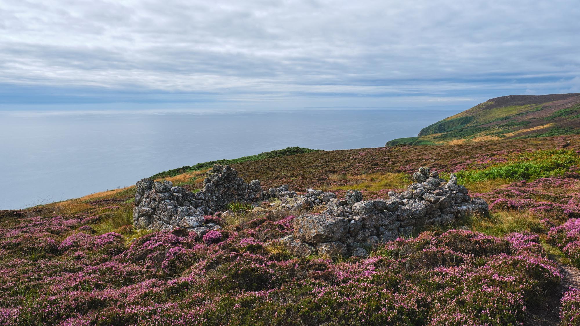 The Highland Clearances