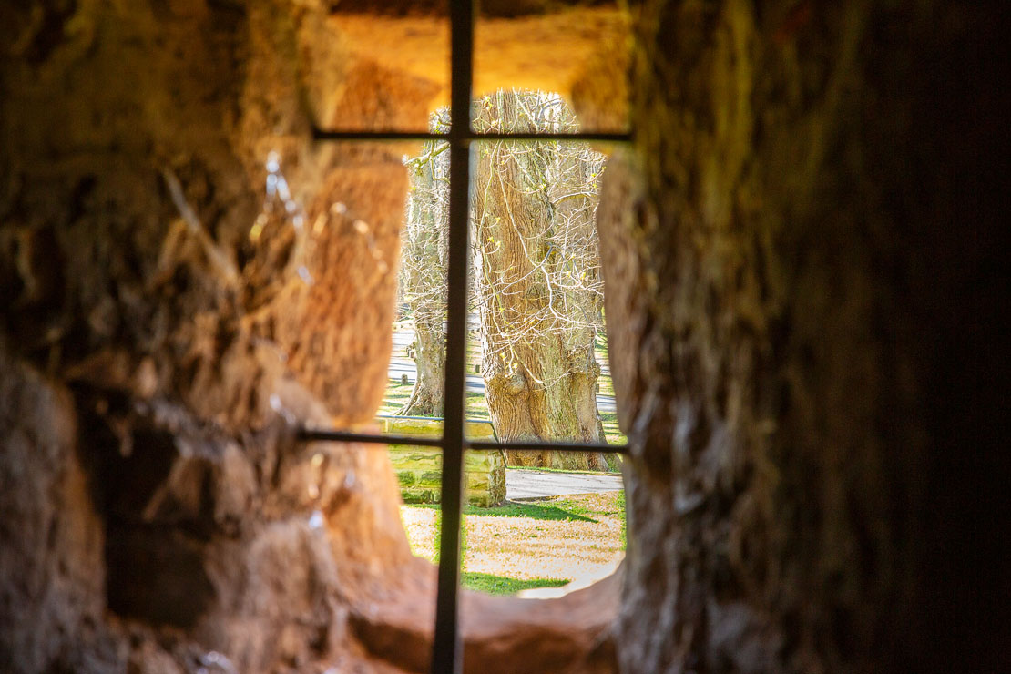 Basement window