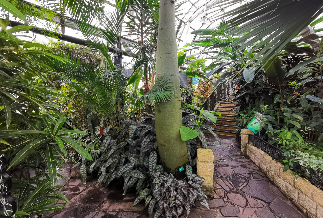View from entrance of Tropical House.