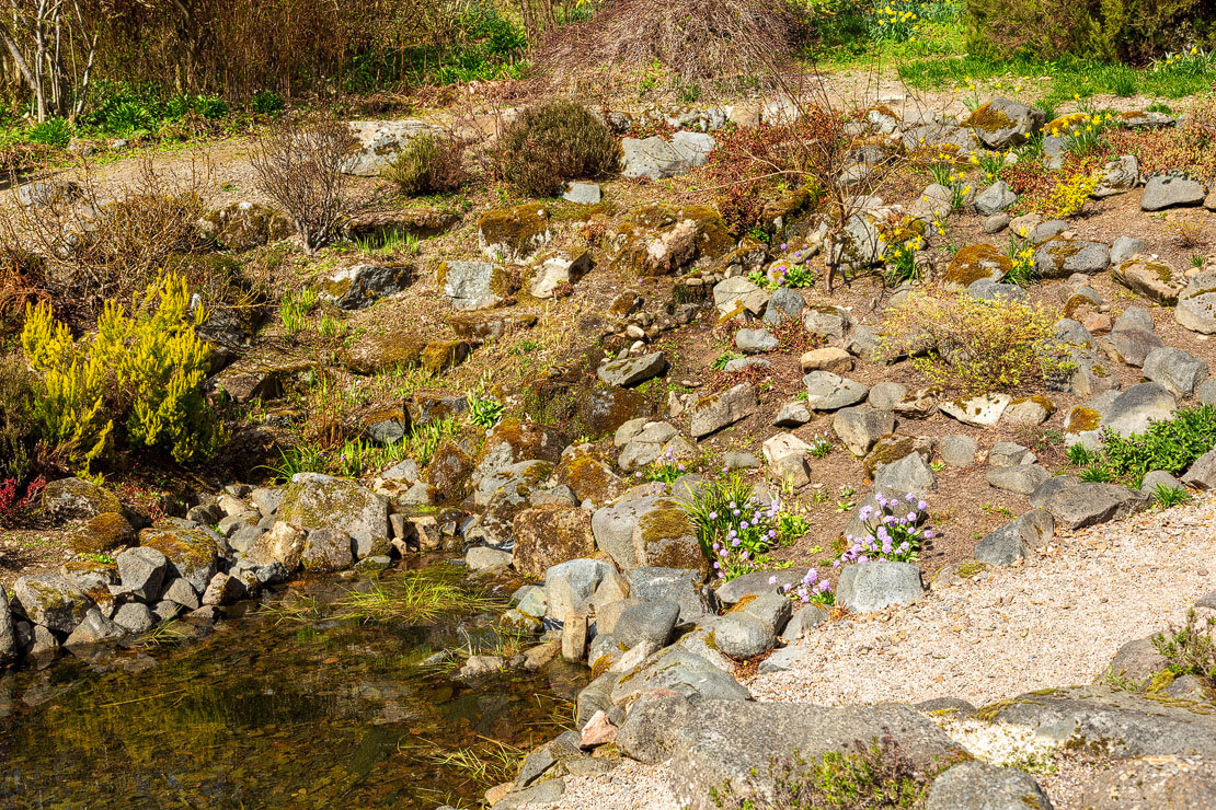 Leith Hall Rockery. The waterfall in the rockery was an attractive focal point.