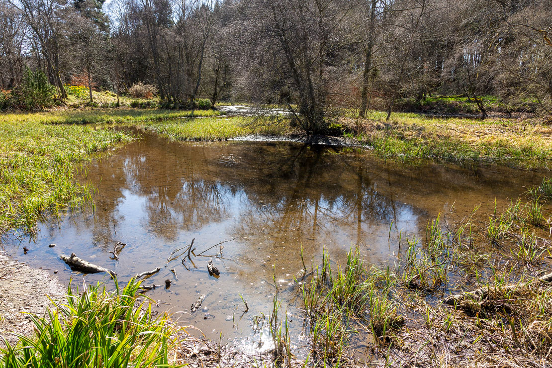 Leith Hall ponds.