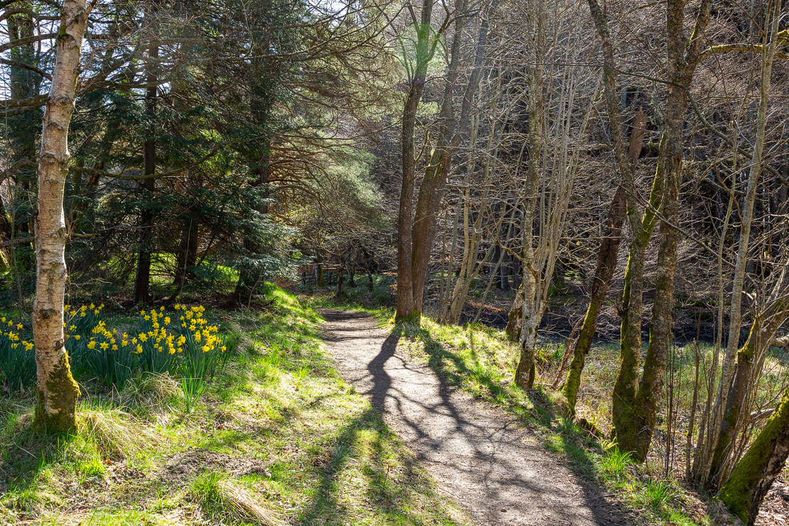 Leith Hall pond walk. The surrounding hills are beautiful.