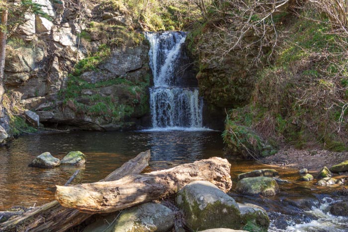 Linn Falls waterfall and circular walk at Aberlour, Moray