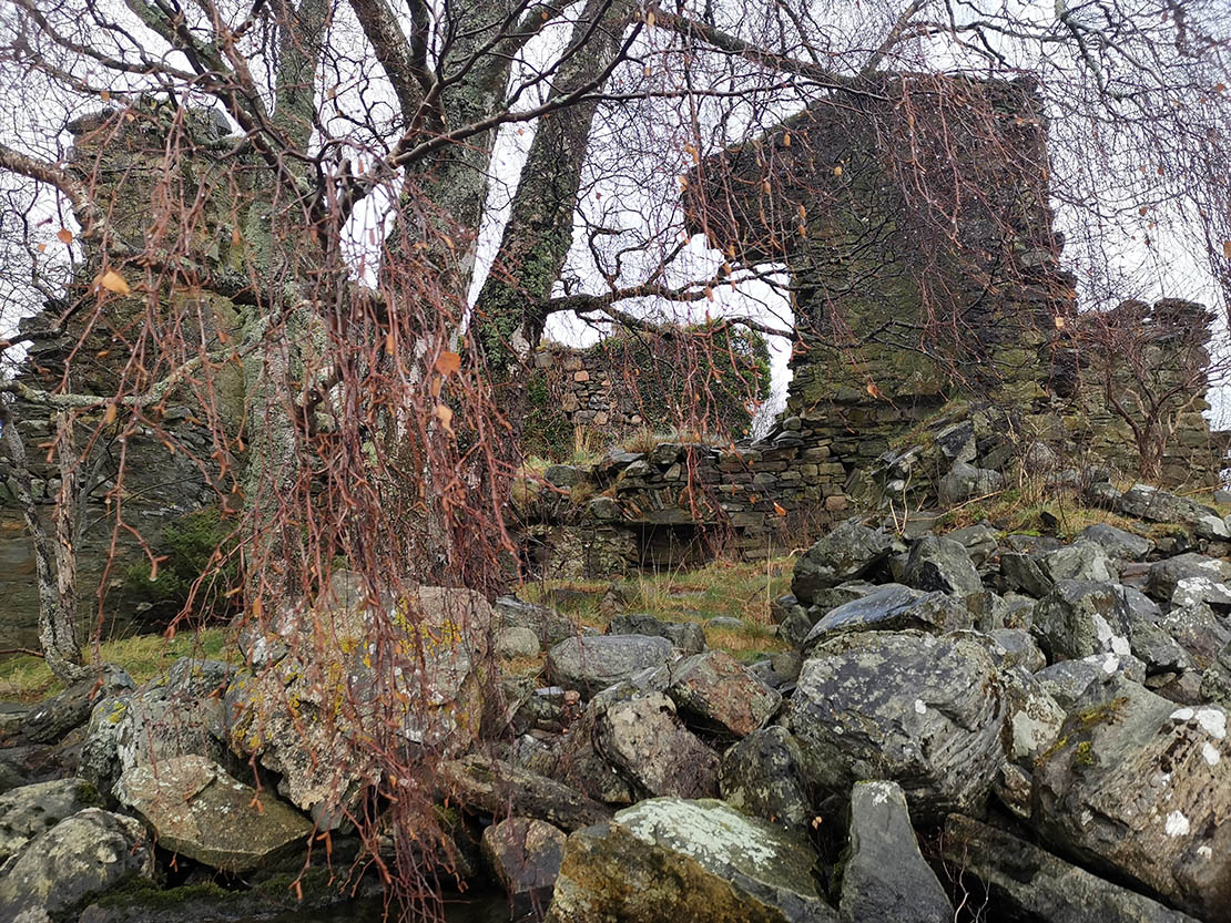 Close up of the castle ruin | Exeptional wildlife