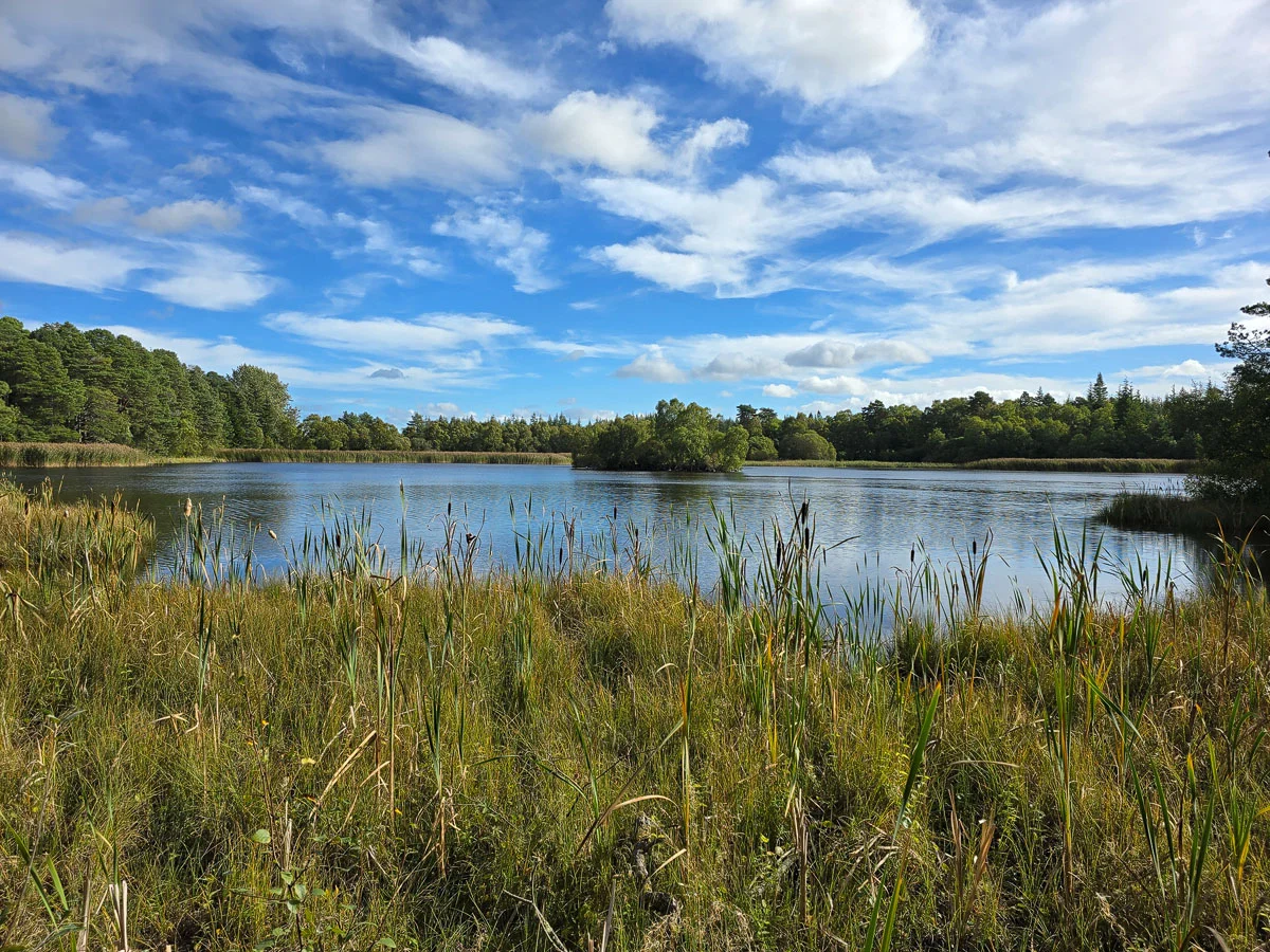 Loch of Blairs, Moray - A Peaceful Woodland Walk with Bird Hides near Forres
