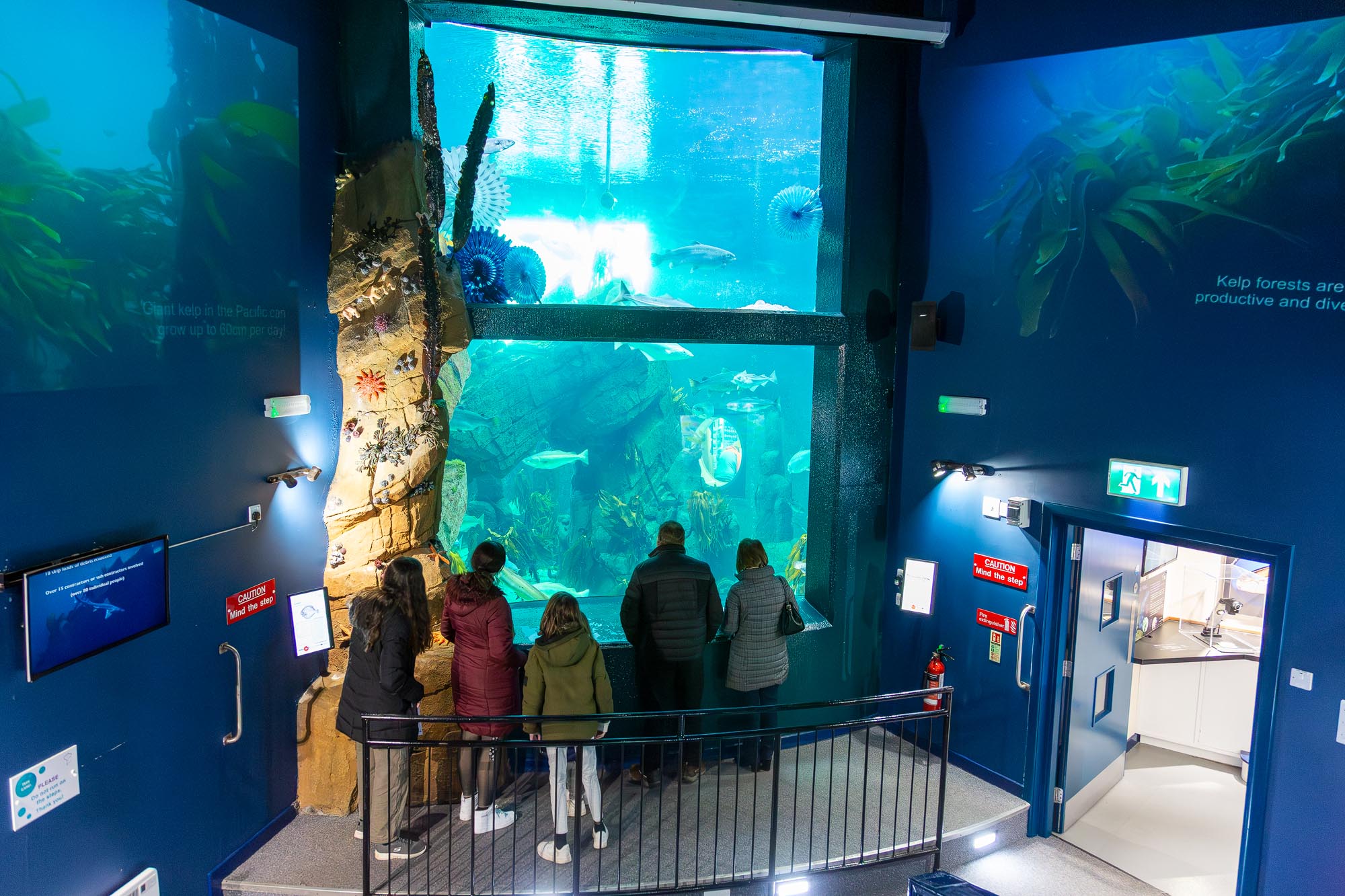 Macduff Aquarium