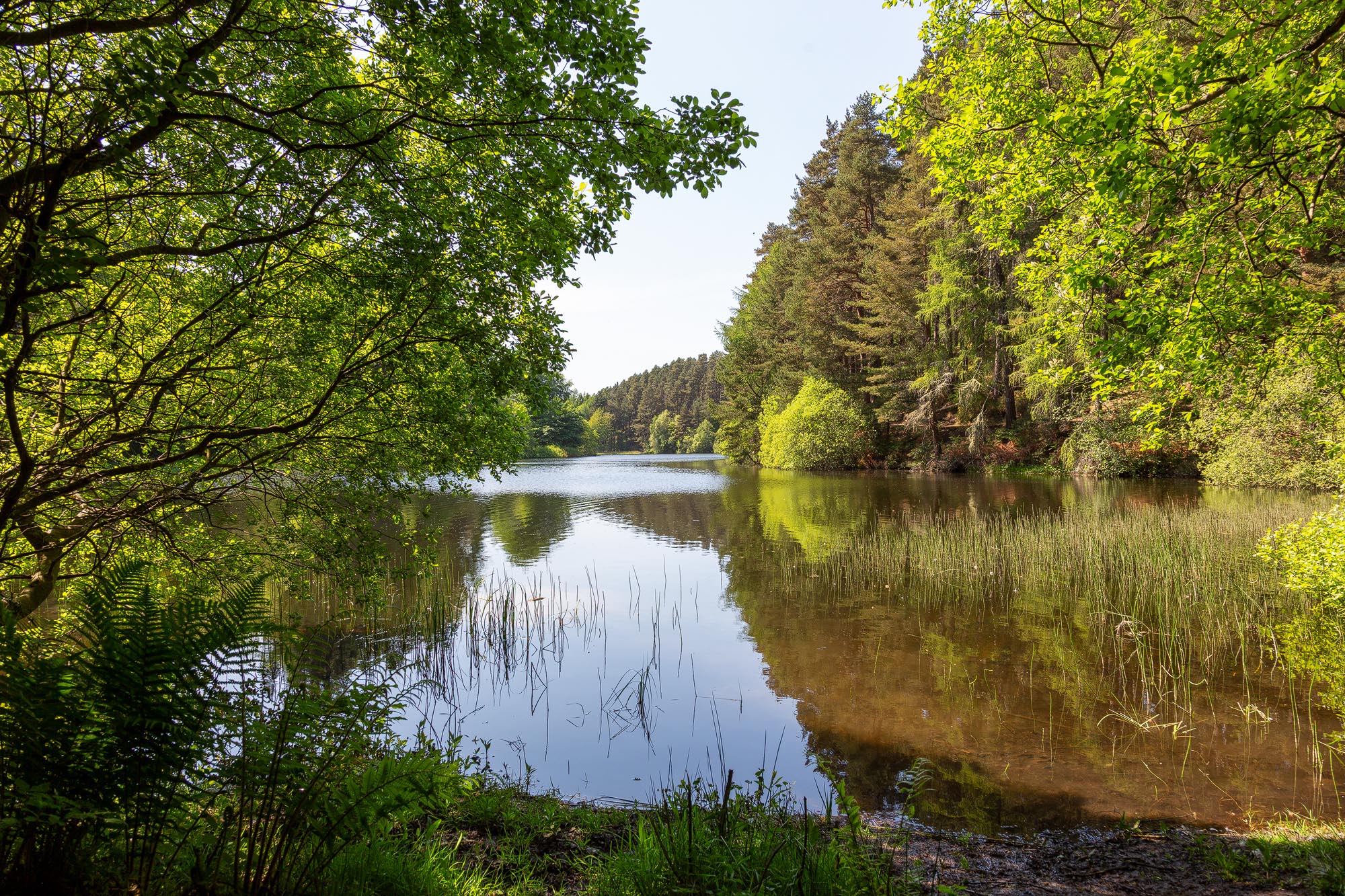 Millbuies Country Park