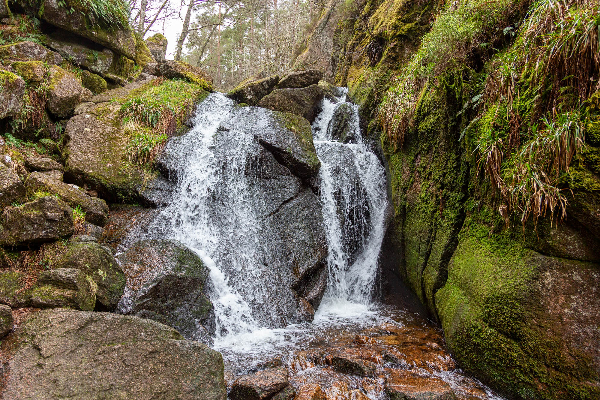 Muir of Dinnet National Nature Reserve