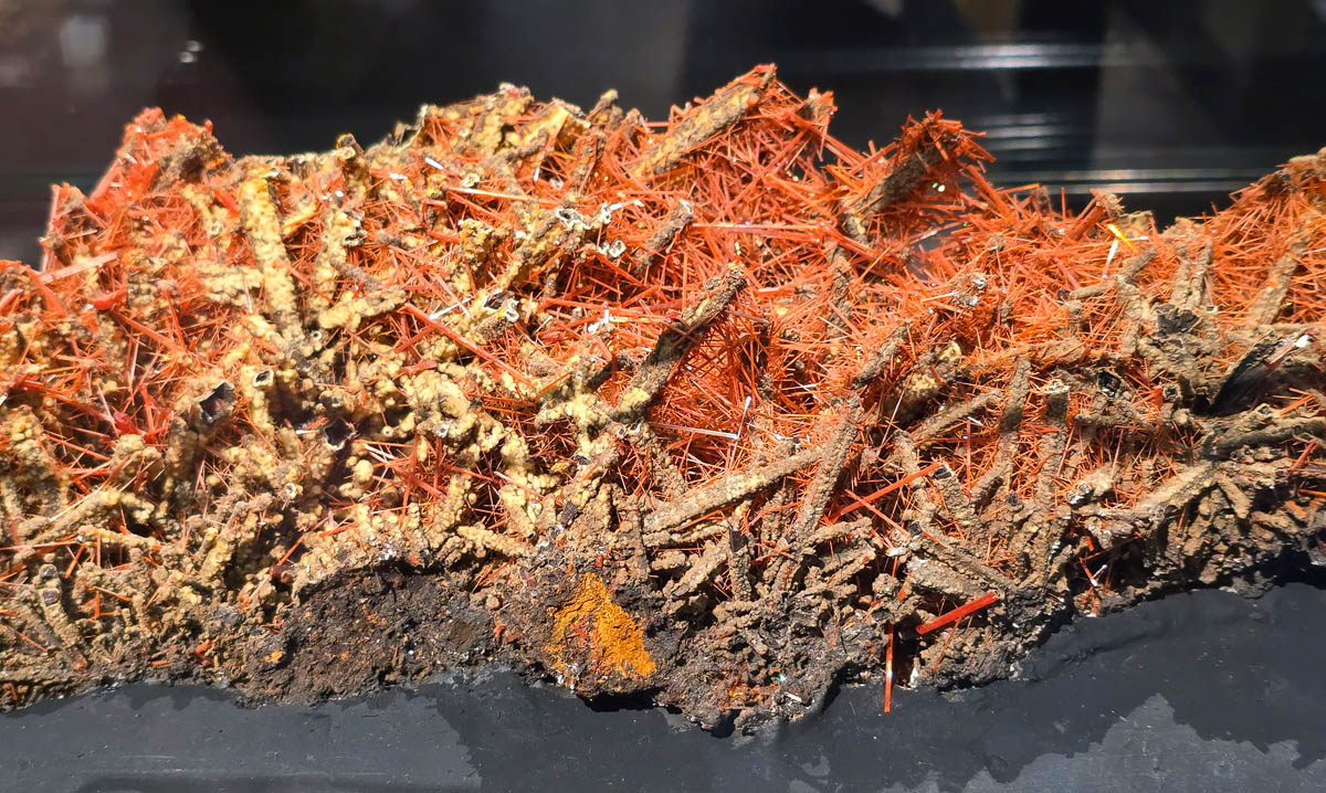 Close-up of a crocoite mineral specimen showing delicate orange-red crystal needles