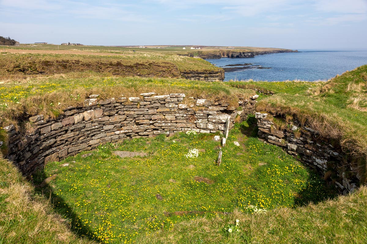 Interior of one of the larger outbuildings at Nybster Broch showing curved drystone walls carpeted with wildflowers and the Caithness coast beyond