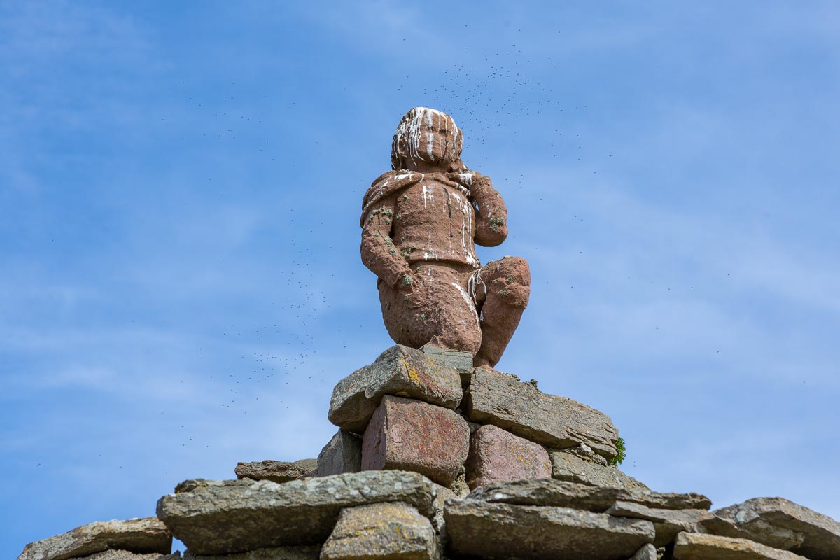 Rear view of the carved stone figure atop Mervyn’s Tower at Nybster surrounded by a cloud of midges