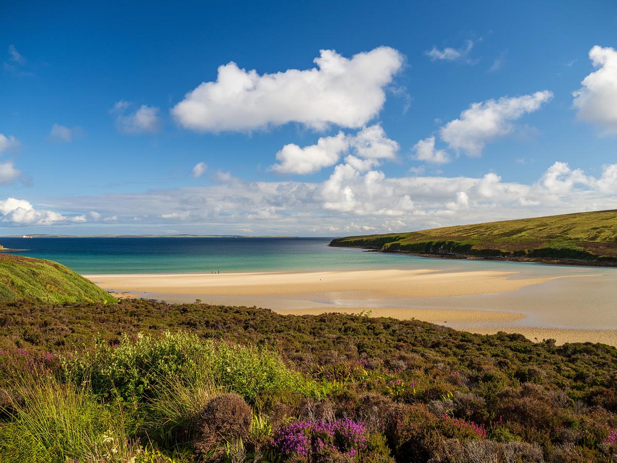 A sheltered sandy bay framed by heather-covered headlands and turquoise water in Orkney
