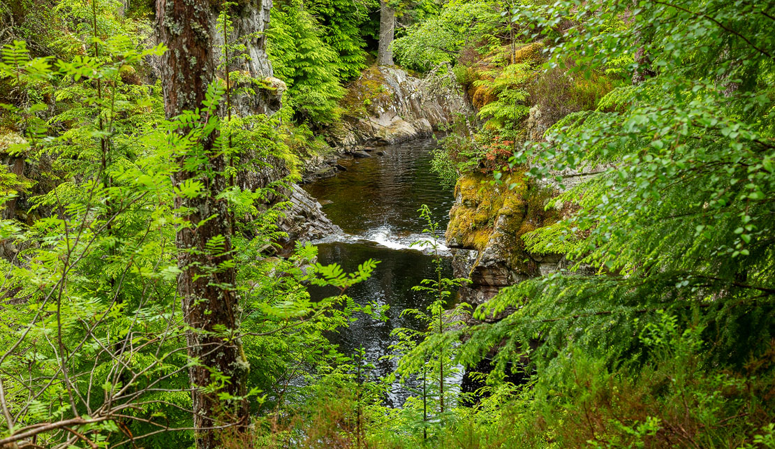 Falls from the rear view.