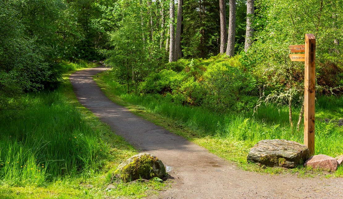The path to the falls.