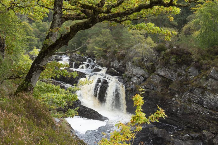 Rogie Falls, a spectacular waterfall in the north Highlands